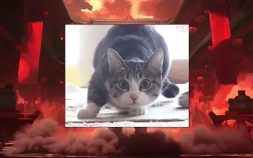 >:3