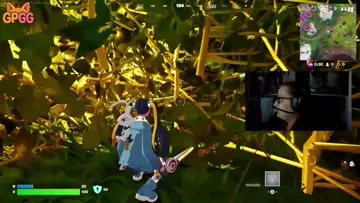 bush