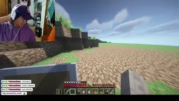 50 minutos amaestrando un gato