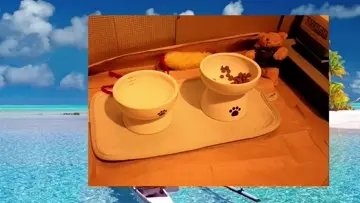 サインの餡