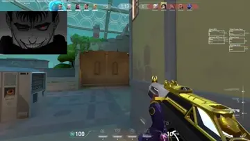 gekko ace?