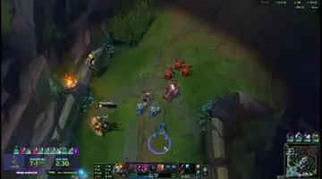 Voli ?
