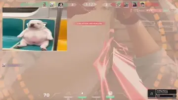 1v3