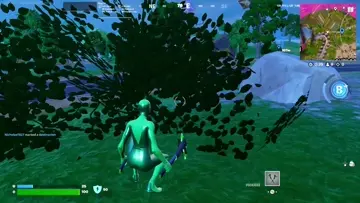 bush mode
