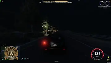damn the animals!
