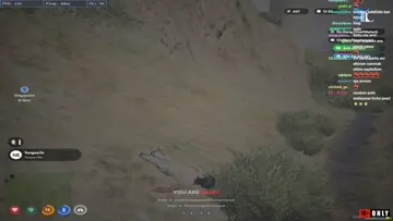 clip
