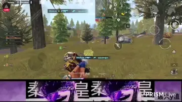reflex 