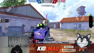 w streamer