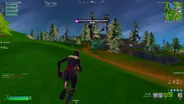Jugando fortnite por qué rogar por amor