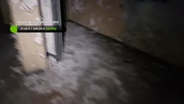 Dasiek śpi