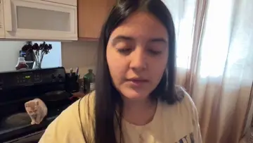 kitten boogie sneeze