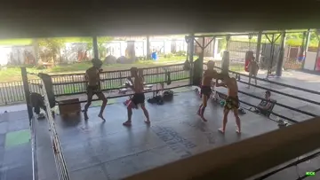 Knee