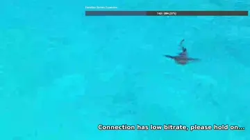 NURSE SHARK!!