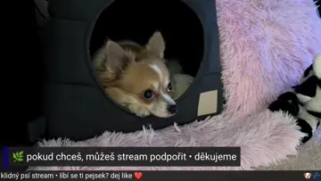 🔥 Fanoušci, co říkáte vy?
