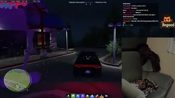 auto pilot