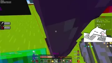 xd