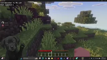 fuimos al cerro a matar brujas