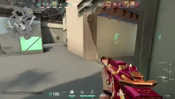 que pro