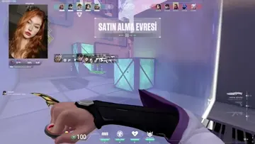 zigzea aim