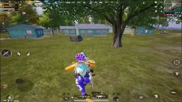 ultimqte royal