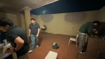LA MOSCA QUIERE SER ABEJA