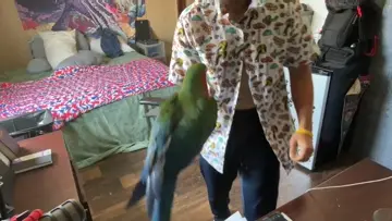 How we get down