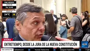DIEGO GIULIANO SOBRE CONSTITUCIÓN 25