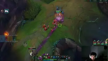 perfecto dive