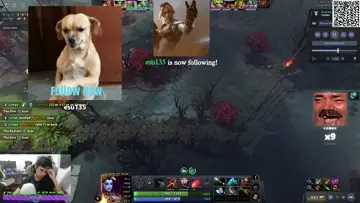 PIPIP
