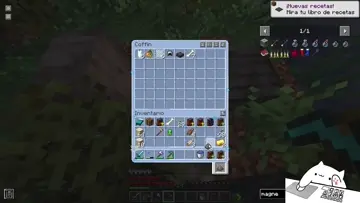 xd