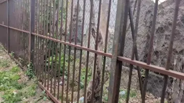 goth baddies and jew tunnels