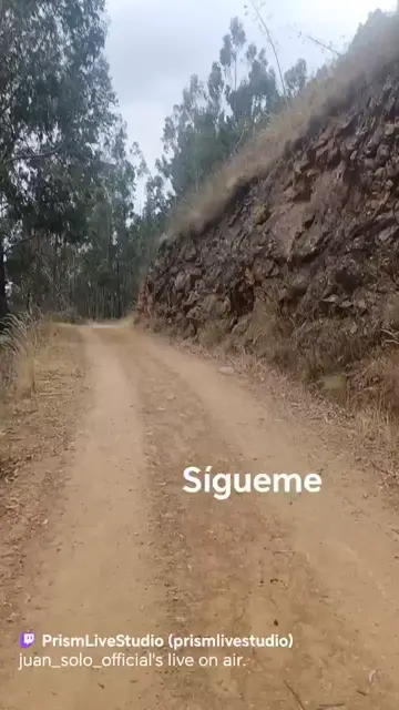 pasaisajes del camino