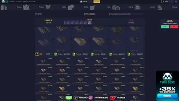 14000$ in PANDASKINS