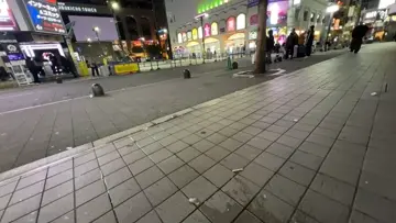 甘えん坊さん