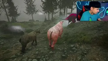 jajaj