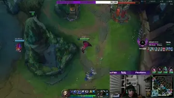 vayne2