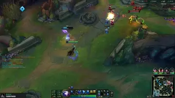 ashe