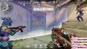 aslana bak