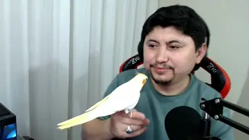 Şaban