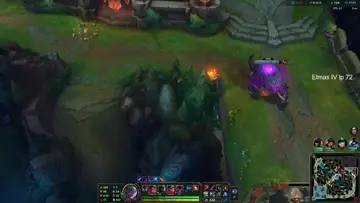 zed 1ws 3