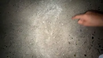 perlaaa 