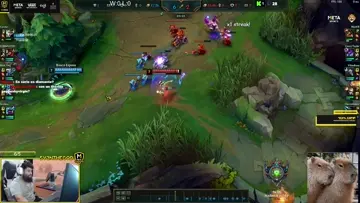 R nami