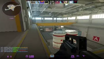 ACE VENTURA