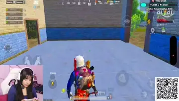 Bgmi glitch