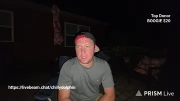 DOLPHIN VS CHAIR