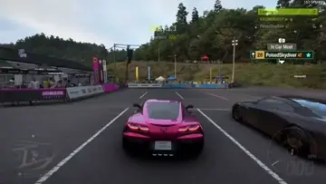 Pink C7 Z06 and GTR FE