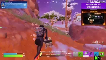 WIEDZA BOLI #FORTNITE
