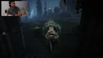 araya stream