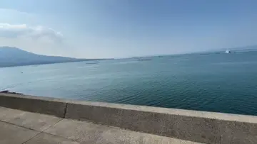イルカ