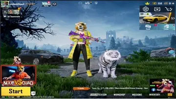 clip